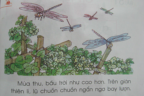 Nguyên nhân trẻ học thêm ở lớp 1 vì sách tiếng việt